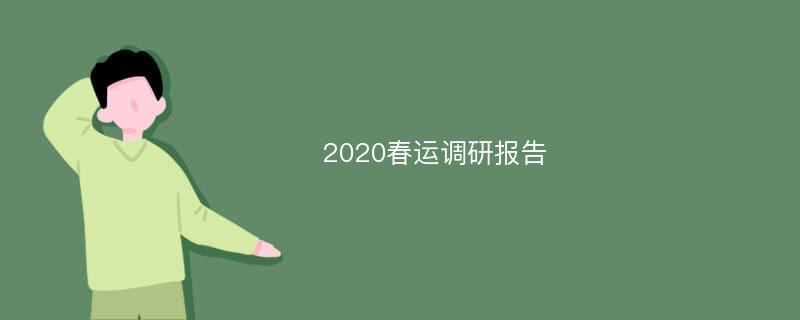 2020春运调研报告