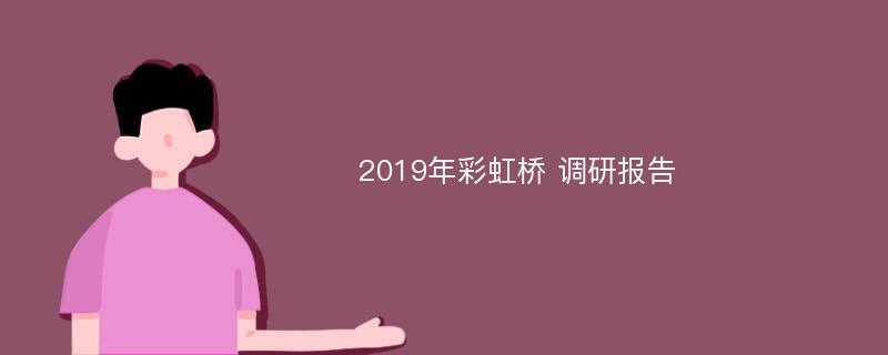2019年彩虹桥 调研报告